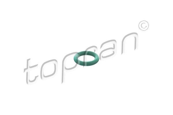 Topran 115 344 Turbine gasket 115344: Buy near me in Poland at 2407.PL - Good price!