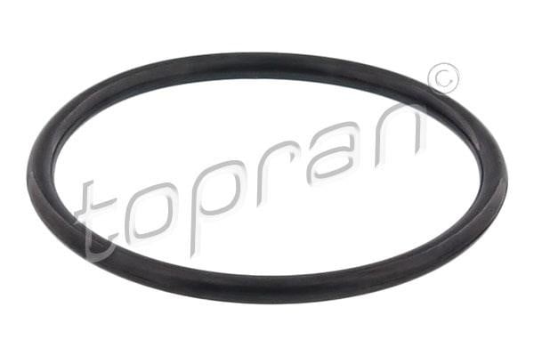 Topran 117 329 Termostat gasket 117329: Buy near me at 2407.PL in Poland at an Affordable price!
