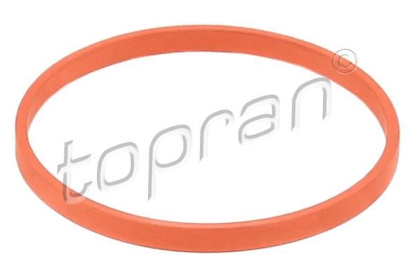 Topran 117 386 Прокладка корпусу впускного колектора 117386: Купити у Польщі - Добра ціна на 2407.PL!