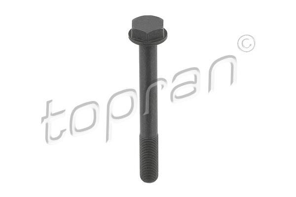 Topran 503 630 Screw Set, gears (timing chain) 503630: Buy near me in Poland at 2407.PL - Good price!
