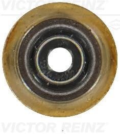 Victor Reinz 70-19255-00 Seal, valve stem 701925500: Buy near me in Poland at 2407.PL - Good price!