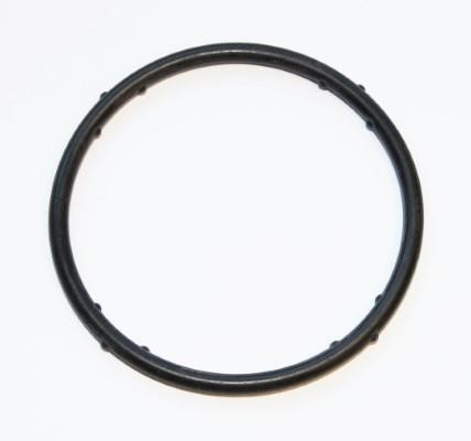Elring 625.270 Coolant flange gasket 625270: Buy near me at 2407.PL in Poland at an Affordable price!