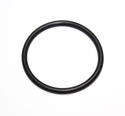 Elring 894.100 Termostat gasket 894100: Buy near me in Poland at 2407.PL - Good price!