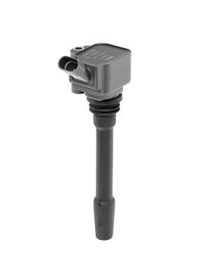 Beru ZS587 Ignition coil ZS587: Buy near me in Poland at 2407.PL - Good price!