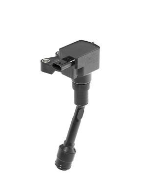 Beru ZSE215 Ignition coil ZSE215: Buy near me at 2407.PL in Poland at an Affordable price!
