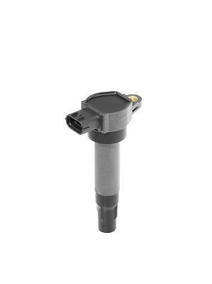 Beru ZSE200 Ignition coil ZSE200: Buy near me in Poland at 2407.PL - Good price!