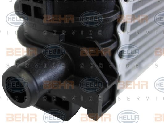Hella 8MK 376 701-151 Radiator, engine cooling 8MK376701151: Buy near me at 2407.PL in Poland at an Affordable price!
