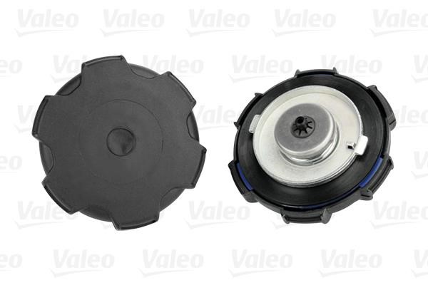 Valeo 247720 Fuel Door Assembly 247720: Buy near me in Poland at 2407.PL - Good price!