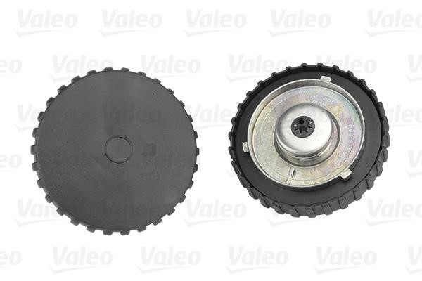 Valeo 247721 Fuel Door Assembly 247721: Buy near me in Poland at 2407.PL - Good price!