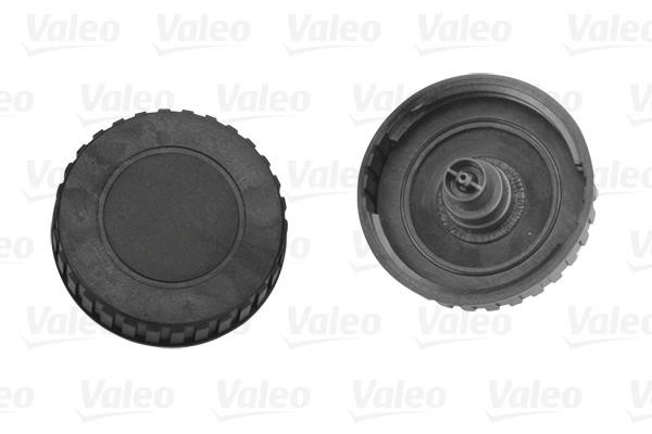 Valeo 247723 Fuel Door Assembly 247723: Buy near me in Poland at 2407.PL - Good price!
