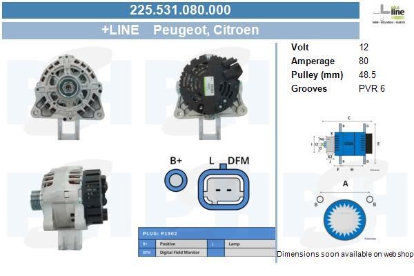 BV PSH 225.531.080.000 Alternator 225531080000: Atrakcyjna cena w Polsce na 2407.PL - Zamów teraz!