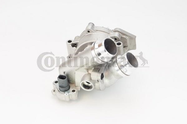 Contitech WP6101 Water pump WP6101: Buy near me in Poland at 2407.PL - Good price!