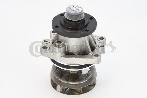 Contitech WPS3000 Water pump WPS3000: Buy near me in Poland at 2407.PL - Good price!