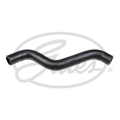 Gates 05-4173 Radiator hose 054173: Buy near me in Poland at 2407.PL - Good price!