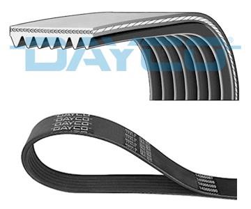 Dayco 7PK1165S V-Ribbed Belt 7PK1165S: Buy near me in Poland at 2407.PL - Good price!