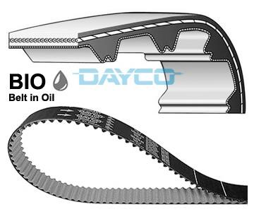 Dayco 941091 Timing belt 941091: Buy near me in Poland at 2407.PL - Good price!