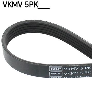 SKF VKMV 5PK768 V-Ribbed Belt VKMV5PK768: Buy near me in Poland at 2407.PL - Good price!