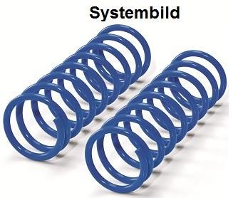 Westfalia 446071500001 Suspension kit, coil springs 446071500001: Buy near me at 2407.PL in Poland at an Affordable price!