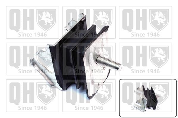 Quinton Hazell EM4396 Engine mount left, right EM4396: Buy near me at 2407.PL in Poland at an Affordable price!
