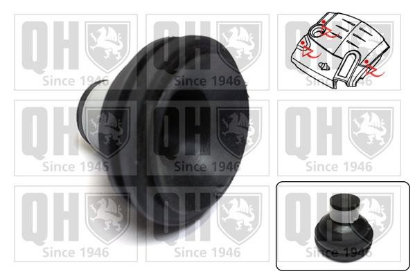 Quinton Hazell EM4839 Engine Cover EM4839: Buy near me at 2407.PL in Poland at an Affordable price!