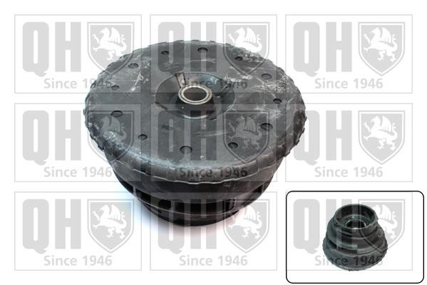 Quinton Hazell EMA6145 Strut bearing with bearing kit EMA6145: Buy near me in Poland at 2407.PL - Good price!