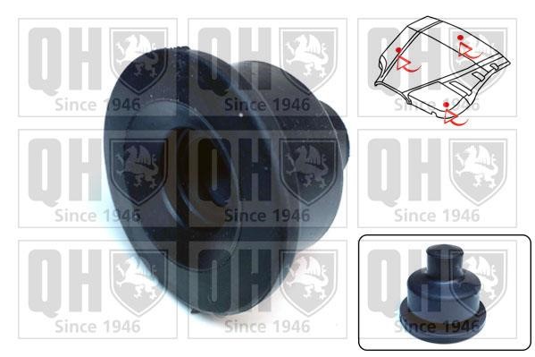 Quinton Hazell EM4924 Engine cover EM4924: Buy near me at 2407.PL in Poland at an Affordable price!