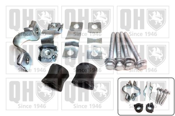 Quinton Hazell EMBK3099 Stabilizer bar mounting kit EMBK3099: Buy near me in Poland at 2407.PL - Good price!