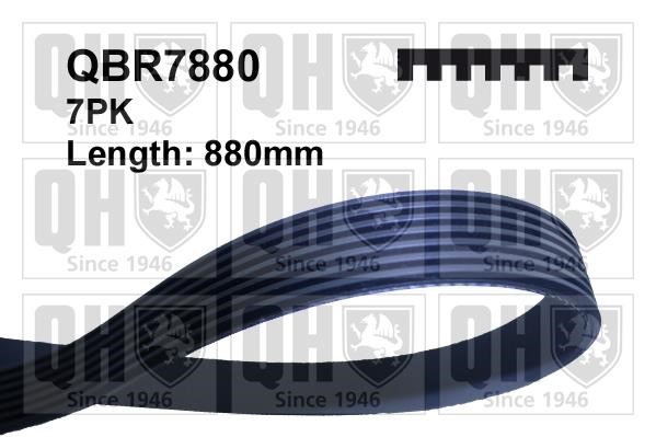 Quinton Hazell QBR7880 V-ribbed belt 7PK880 QBR7880: Buy near me in Poland at 2407.PL - Good price!