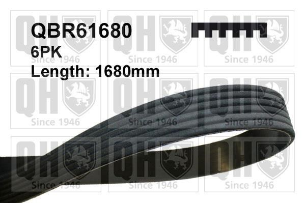 Quinton Hazell QBR61680 V-Ribbed Belt QBR61680: Buy near me in Poland at 2407.PL - Good price!