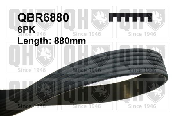 Quinton Hazell QBR6880 V-Ribbed Belt QBR6880: Buy near me in Poland at 2407.PL - Good price!