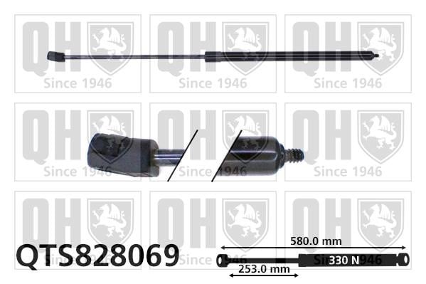 Quinton Hazell QTS828069 Gas hood spring QTS828069: Buy near me in Poland at 2407.PL - Good price!