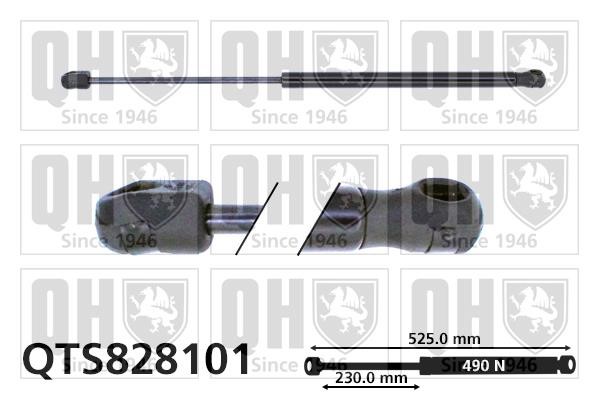 Quinton Hazell QTS828101 Gas Spring, boot-/cargo area QTS828101: Buy near me in Poland at 2407.PL - Good price!