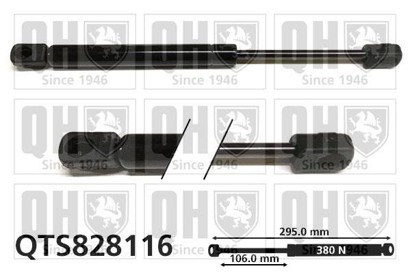 Quinton Hazell QTS828116 Gas hood spring QTS828116: Buy near me in Poland at 2407.PL - Good price!