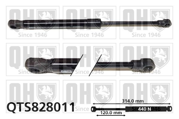 Quinton Hazell QTS828011 Gas hood spring QTS828011: Buy near me in Poland at 2407.PL - Good price!