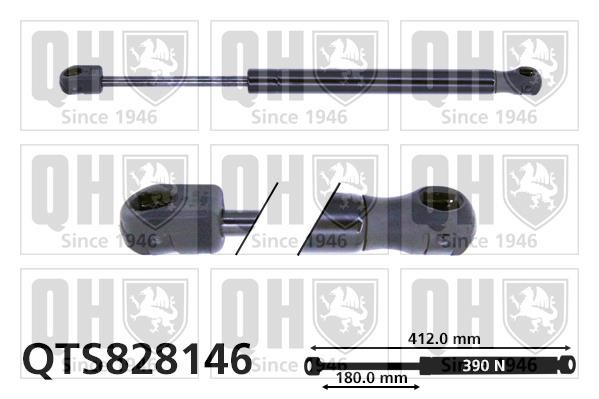 Quinton Hazell QTS828146 Gas hood spring QTS828146: Buy near me in Poland at 2407.PL - Good price!