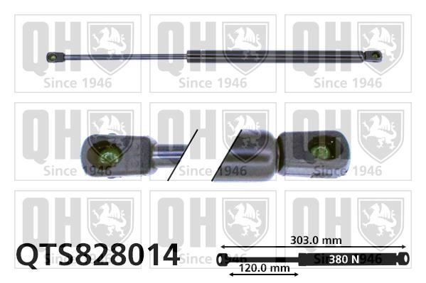 Quinton Hazell QTS828014 Gas hood spring QTS828014: Buy near me in Poland at 2407.PL - Good price!
