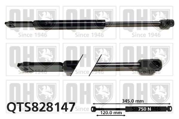 Quinton Hazell QTS828147 Gas hood spring QTS828147: Buy near me in Poland at 2407.PL - Good price!