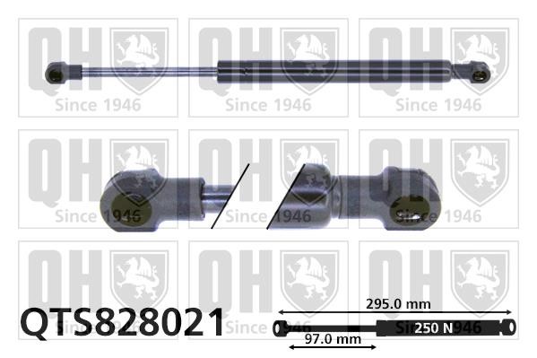 Quinton Hazell QTS828021 Gas Spring, boot-/cargo area QTS828021: Buy near me in Poland at 2407.PL - Good price!