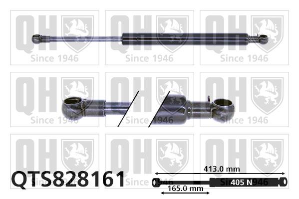 Quinton Hazell QTS828161 Gas Spring, boot-/cargo area QTS828161: Buy near me in Poland at 2407.PL - Good price!