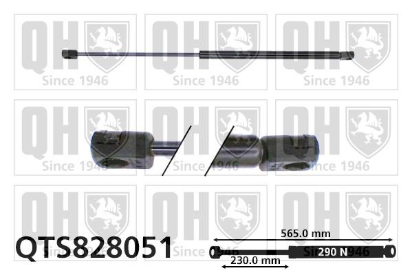 Quinton Hazell QTS828051 Gas hood spring QTS828051: Buy near me in Poland at 2407.PL - Good price!