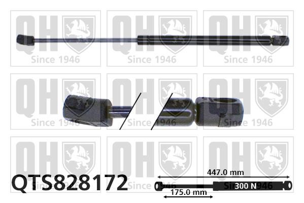 Quinton Hazell QTS828172 Gas hood spring QTS828172: Buy near me in Poland at 2407.PL - Good price!