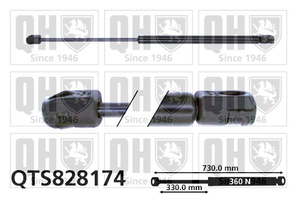 Quinton Hazell QTS828174 Gas hood spring QTS828174: Buy near me in Poland at 2407.PL - Good price!