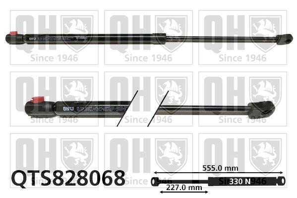 Quinton Hazell QTS828068 Gas hood spring QTS828068: Buy near me in Poland at 2407.PL - Good price!