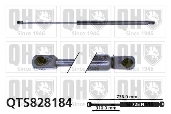 Quinton Hazell QTS828184 Gas Spring, boot-/cargo area QTS828184: Buy near me in Poland at 2407.PL - Good price!