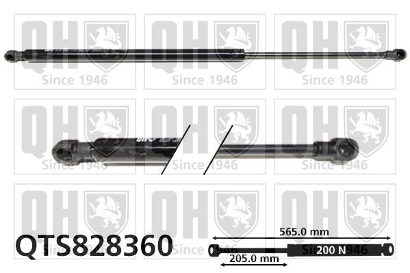 Quinton Hazell QTS828360 Gas Roof Spring QTS828360: Buy near me in Poland at 2407.PL - Good price!