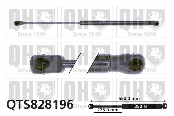 Quinton Hazell QTS828196 Gas hood spring QTS828196: Buy near me in Poland at 2407.PL - Good price!