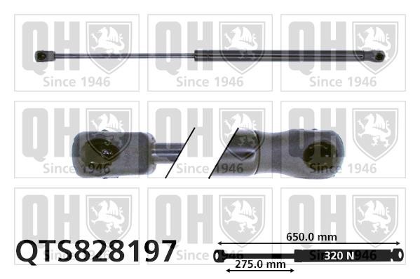 Quinton Hazell QTS828197 Motorhaubegasdruckfeder QTS828197: Kaufen Sie zu einem guten Preis in Polen bei 2407.PL!
