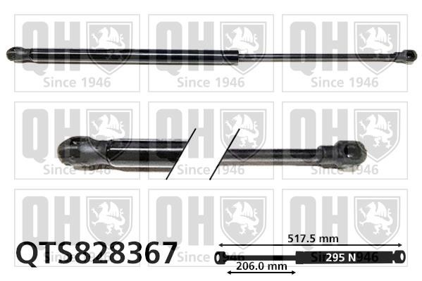 Quinton Hazell QTS828367 Gas Spring, boot-/cargo area QTS828367: Buy near me in Poland at 2407.PL - Good price!