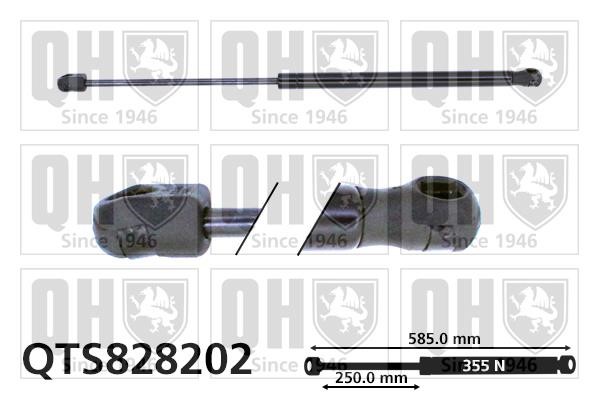 Quinton Hazell QTS828202 Gas hood spring QTS828202: Buy near me in Poland at 2407.PL - Good price!