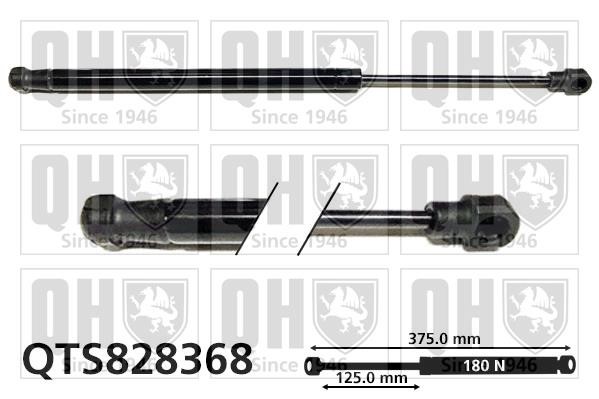 Quinton Hazell QTS828368 Gas Spring, boot-/cargo area QTS828368: Buy near me in Poland at 2407.PL - Good price!
